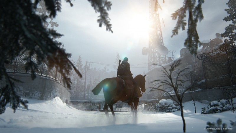 Prepare For Last Of Us Part II With These 10 Movies, Books, And More 2