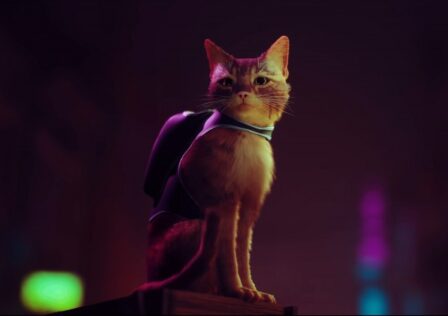 Reader Discussion: What Did You Name The Cat In Stray?