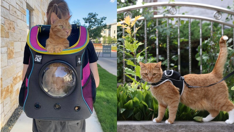 These Stray-Branded Accessories Let You Transport Your Cat With Futuristic Flair 2