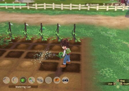 Story of Seasons: A Wonderful Life Review – An Updated Classic That Hasn't Quite Caught Up